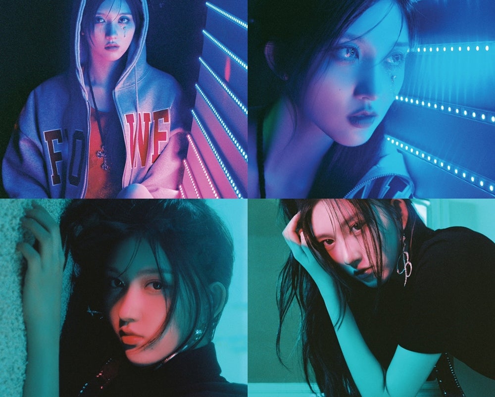 ガウル（提供写真）