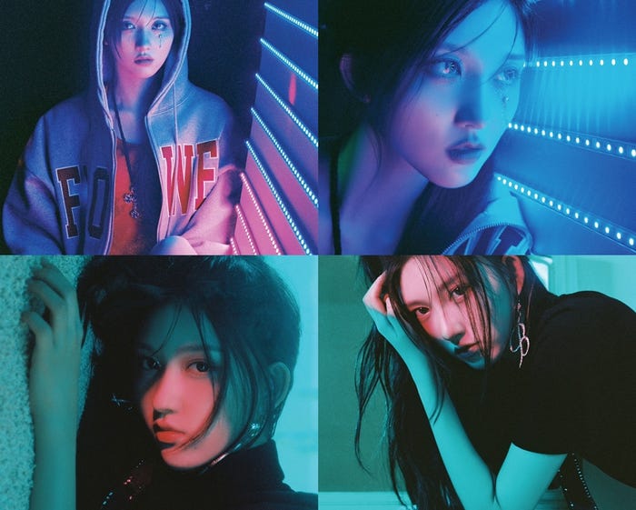 ガウル(提供写真)