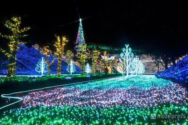 メリーゴーランド型オルゴール 遊園地 豪華絢爛 ライトアップ イルミネーション 300万球の光輝く豪華イルミネーションが登場 季節ごとに変化する