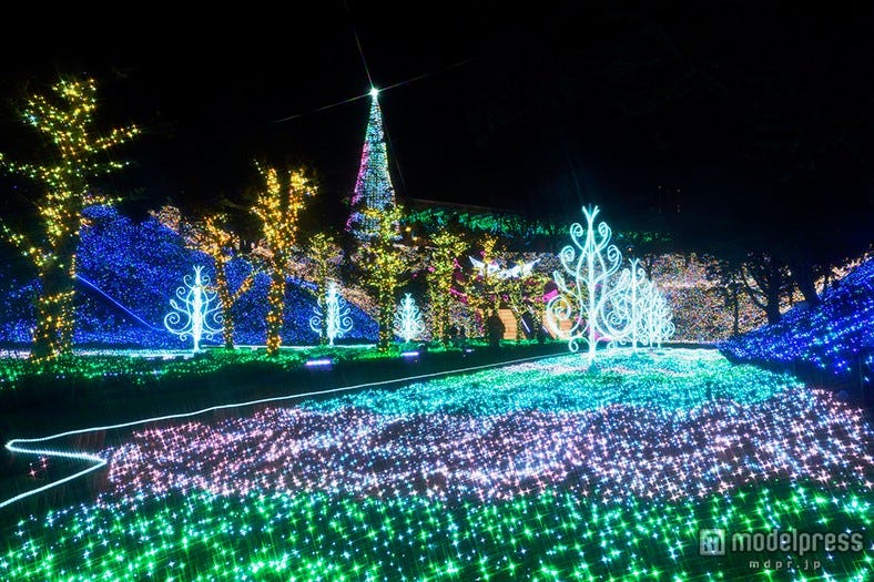300万球の光輝く豪華イルミネーションが登場 季節ごとに変化する和イルミも