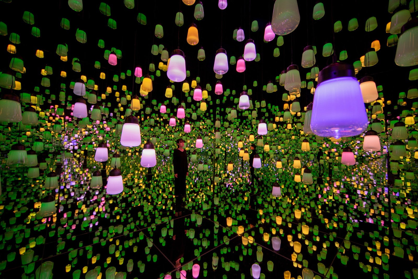 呼応するランプの森 - ワンストローク、春の野山／画像提供：チームラボ