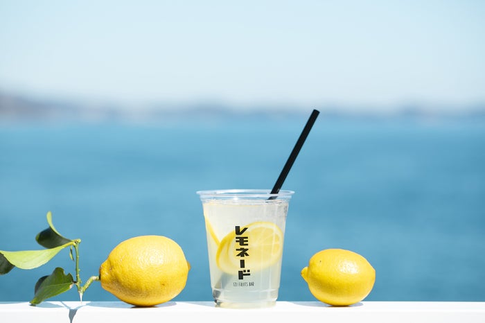 「熱海レモネード」M 400円／L 500円／画像提供：フジノネ