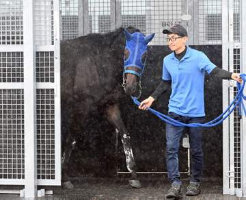 【オークス】ラフターラインズ 大外枠もOK 小笠師「偶数なので良かった」 人馬ともに初のG1タイトル奪取へ