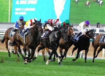 【アルクオーツスプリント】ルガルはあと一歩及ばず2着 鮫島駿「あそこまで行ったら勝ちたかった」