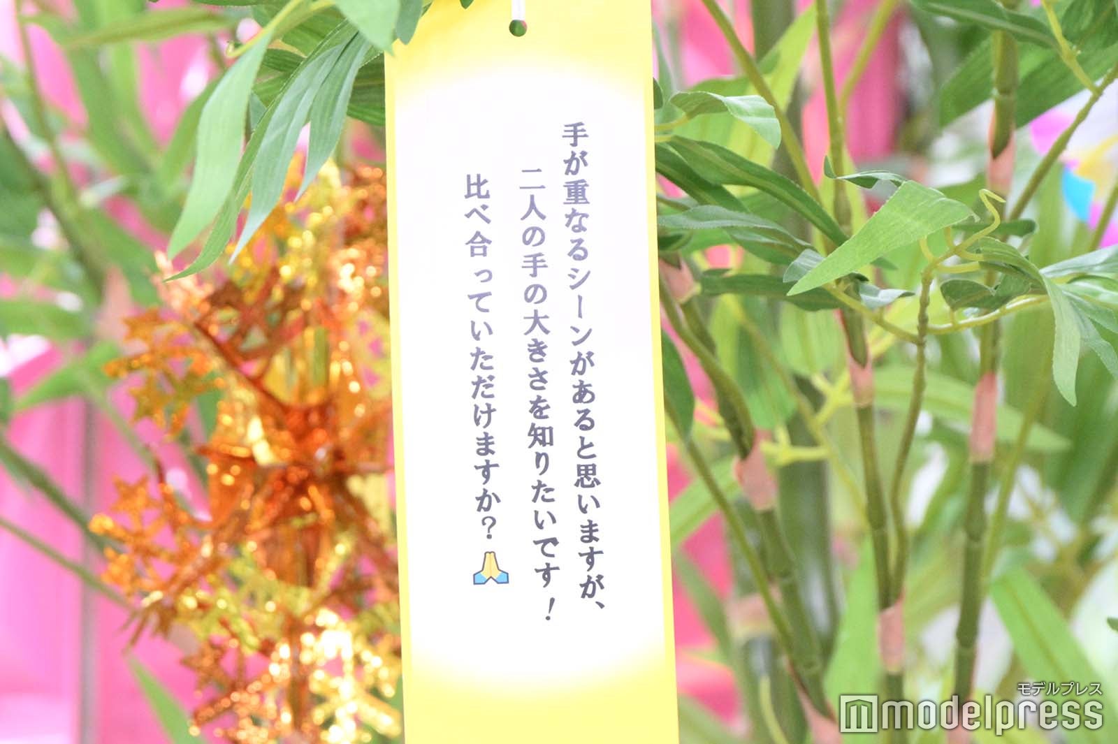 渡辺翔太＆中村アンが叶えた“願い事”（C）モデルプレス