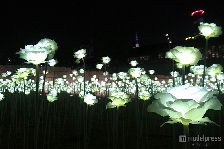 ／画像提供：韓国観光公社