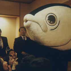 高知県をPRするサイト「高知家」の動画/動画カットより