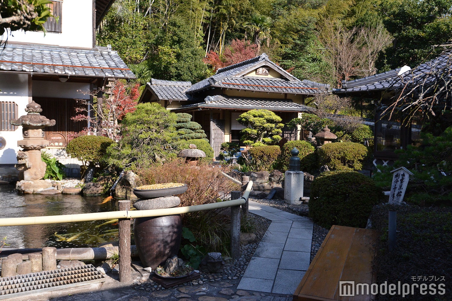 （C）モデルプレス