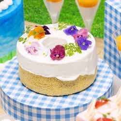 Summer Farm~北海道からの贈り物~/提供画像