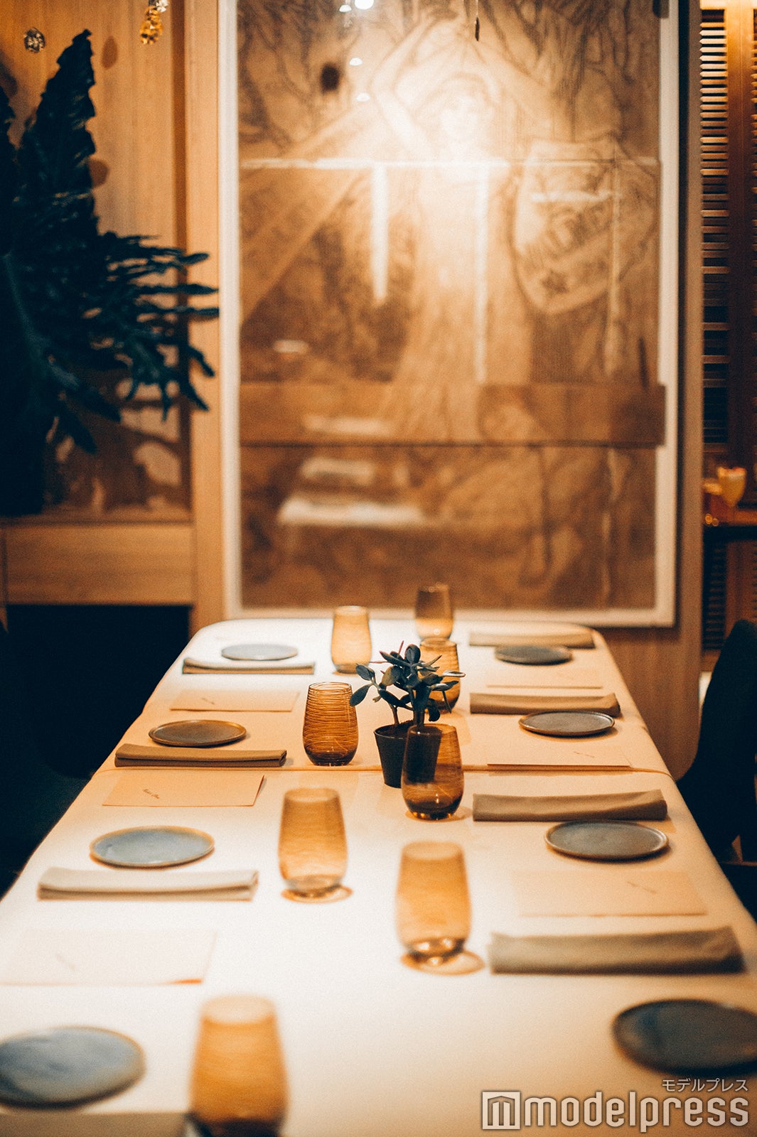 （C）モデルプレス