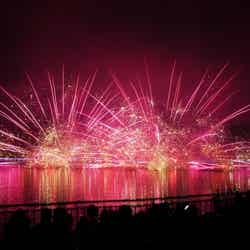 「那須りんどう湖レイクビュー」過去の花火大会風景(提供画像)