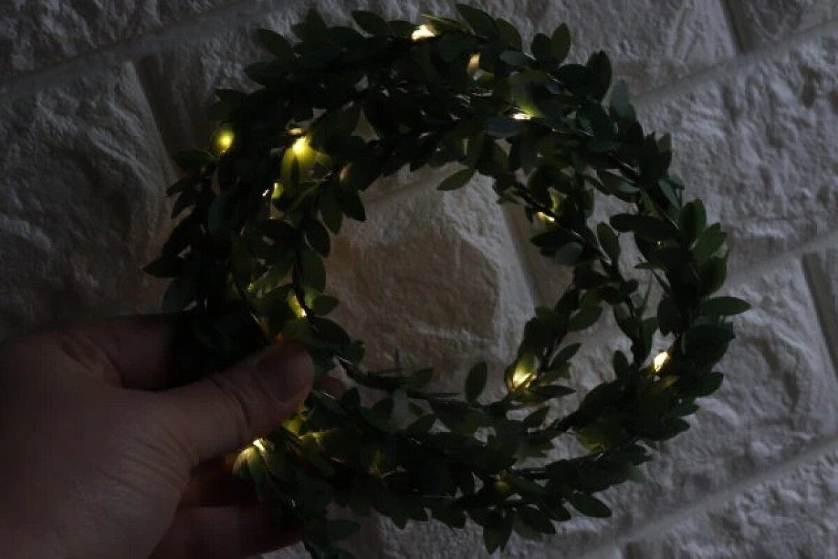 ダイソー　ガーランドライト（20LED、グリーン、USBタイプ）　使用例　針金