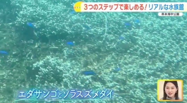 【和歌山】距離、ちかっ！大人も子どもも楽しめる「リアルな水族館」