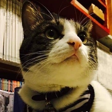 Cat’s Meow Books／画像提供：Cat’s Meow Books