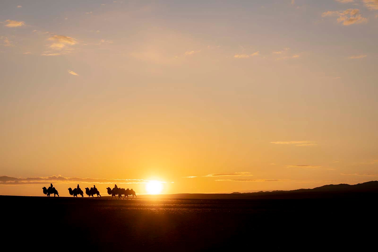 モンゴル風景（提供写真）