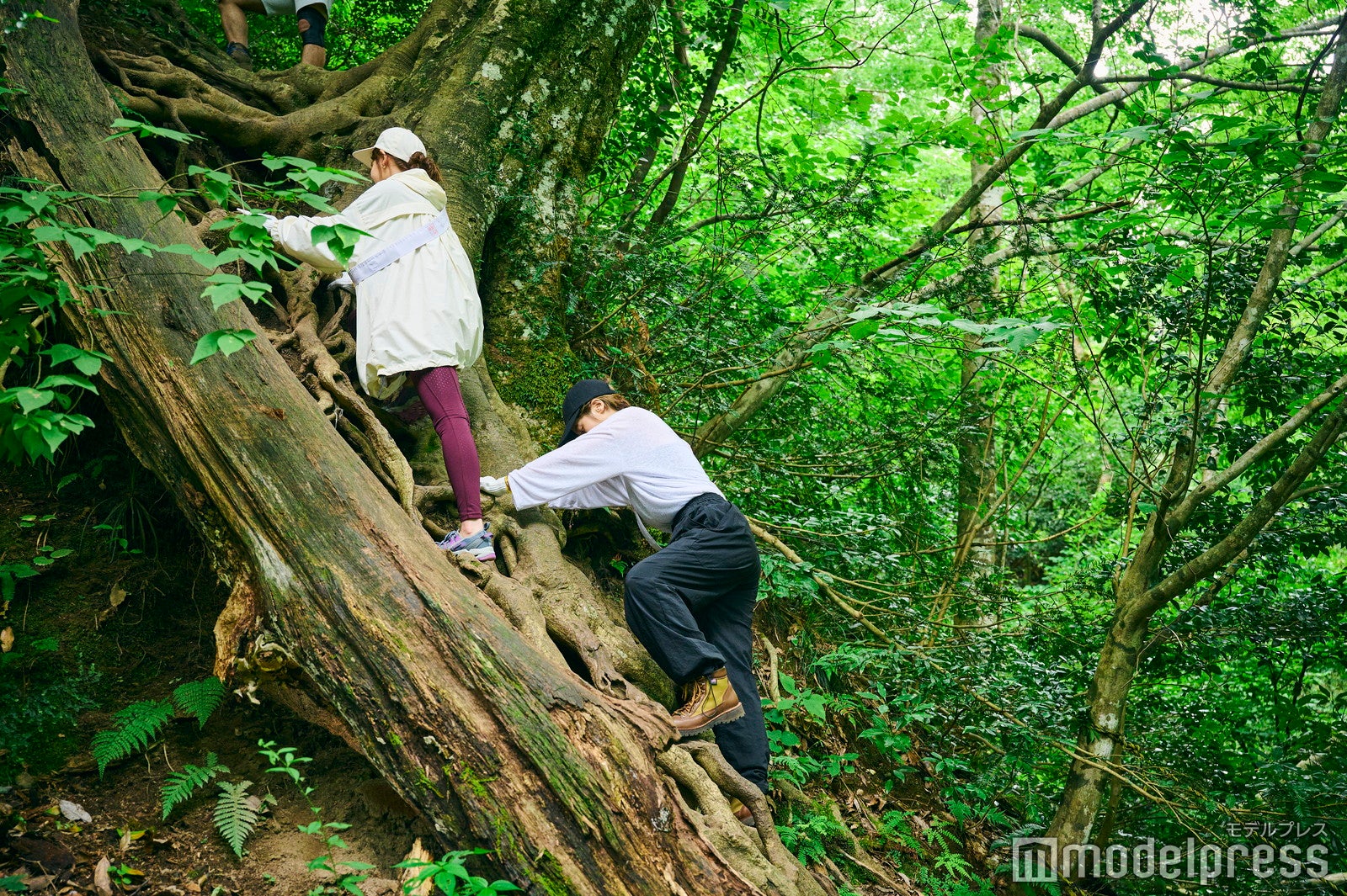 三徳山三佛寺（C）モデルプレス