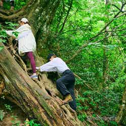 三徳山三佛寺(C)モデルプレス