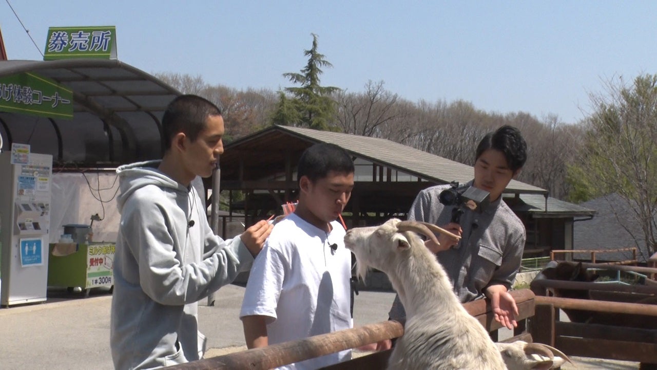 四千頭身 （C）日本テレビ