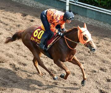 【オークス】スターアニス牝馬2冠へ視界良好！軽やかに登坂 高野師「全てで前走よりいいコンディションになっている」