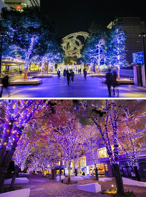 ヨコハマミライト～みらいを照らす、光のまち～