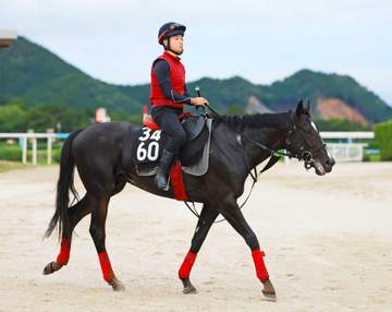 【ラジオNIKKEI賞】バドリナート 春の屈辱晴らせ！小回り千八で実力示す 松永幹師も手応え「スタート速く、いい位置で運べそう」