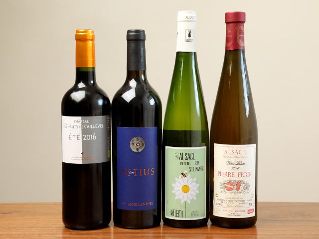 column_2c32ef0c7c10e715f4c63139c5a26f99.