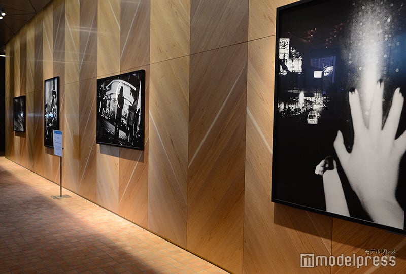 東急歌舞伎町タワー（C）モデルプレス