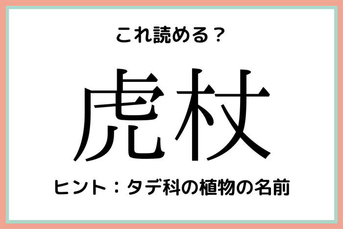 虎杖 って何て読む 読めたらスゴい 難読漢字 4選 モデルプレス