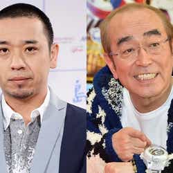 千鳥の画像 写真 ニュース記事一覧 モデルプレス