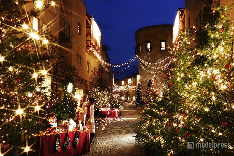 石畳の回廊”ピーマン通り”が光り輝くもみの木で埋めつくされる「リゾナーレクリスマス2014」