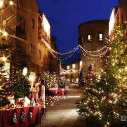 石畳の回廊”ピーマン通り”が光り輝くもみの木で埋めつくされる「リゾナーレクリスマス2014」