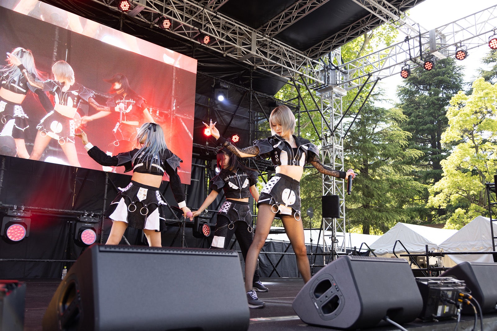 mistress（提供写真）