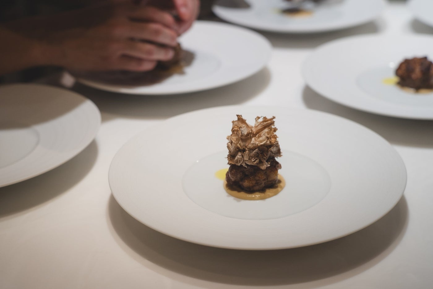 ロマ（提供写真）