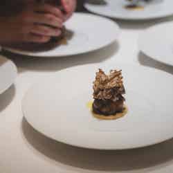 ロマ(提供写真)