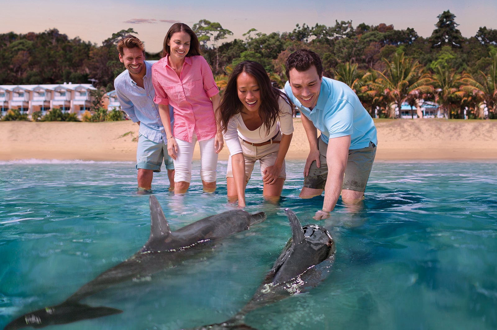 モートン島／野生のイルカに餌付けするレア体験もできる（提供画像）