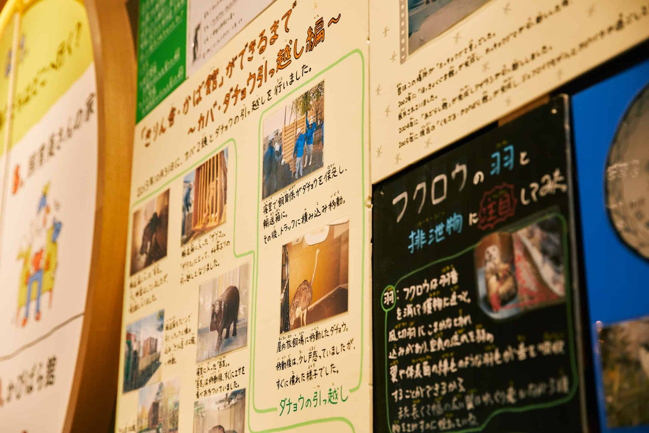 えぞひぐまルーム／画像提供：星野リゾート