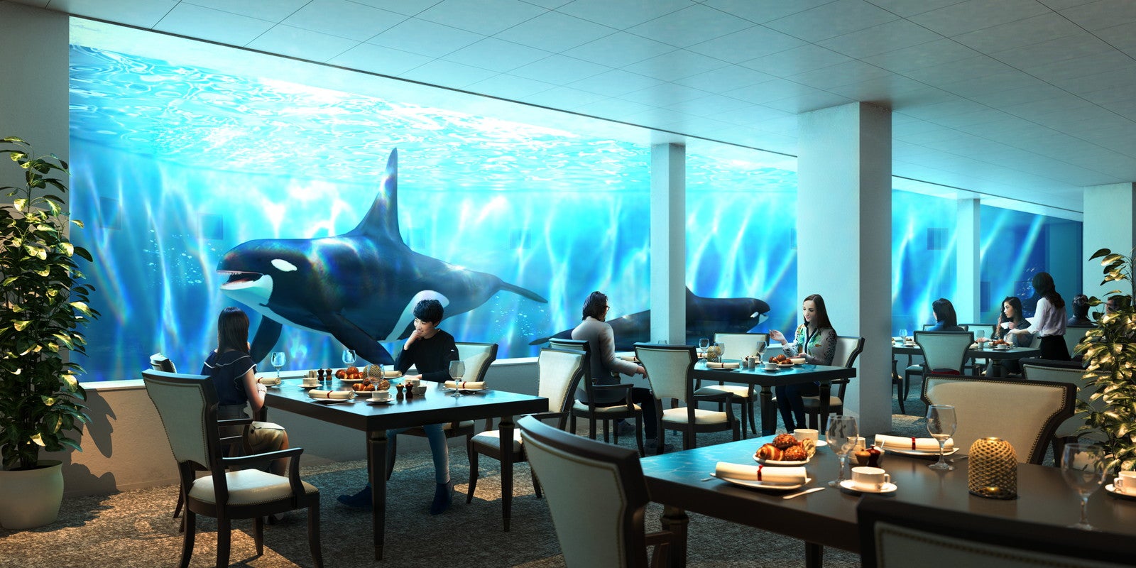 神戸須磨シーワールド／提供画像