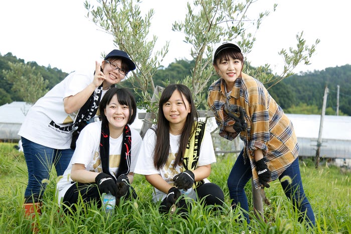 高橋みなみ、ボランティアに参加(提供画像)