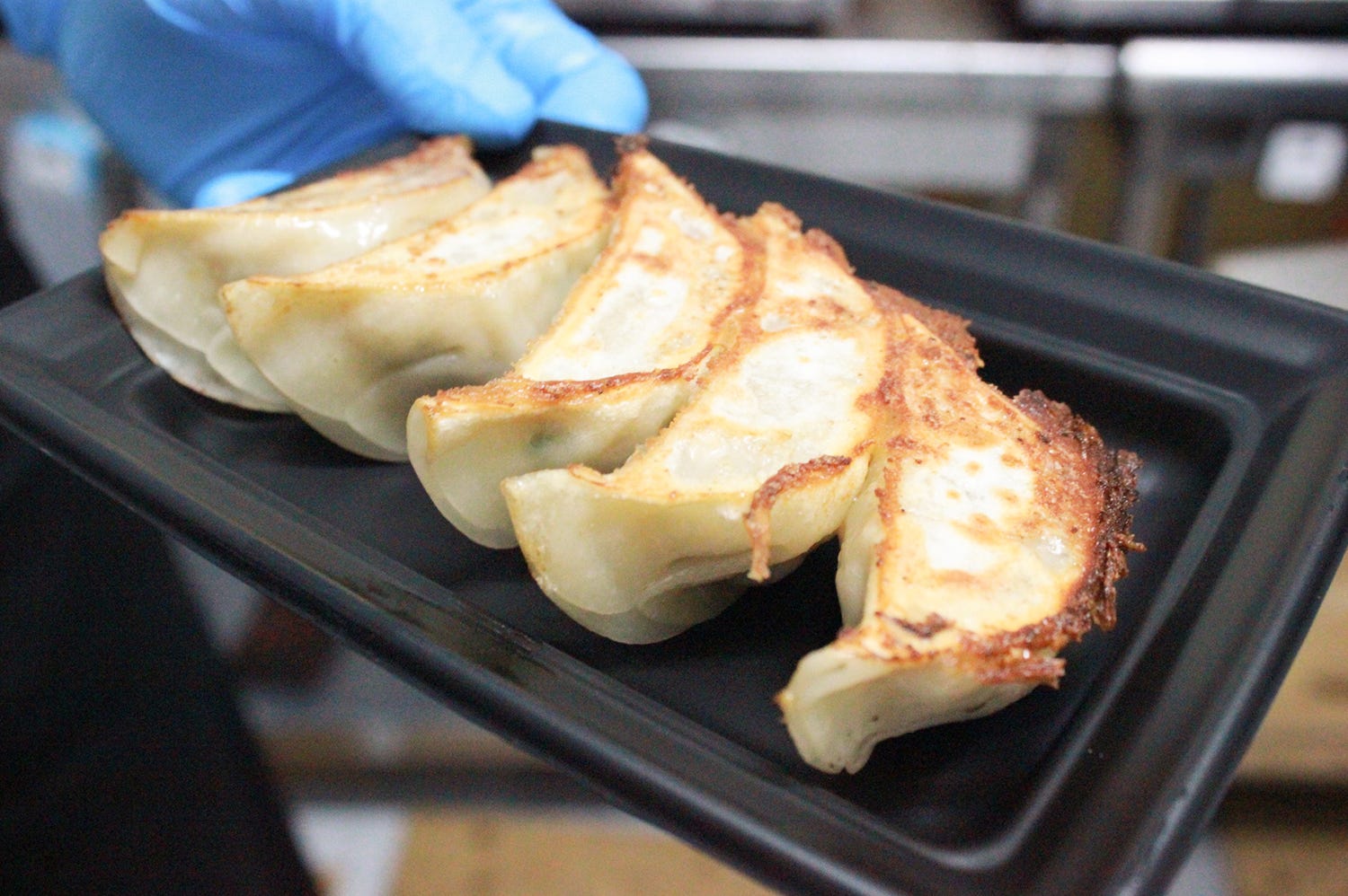 話題の「餃子フェス」再び 王道からイタリアン系まで注目フードがずらり