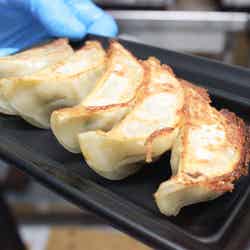 話題の「餃子フェス」再び 王道からイタリアン系まで注目フードがずらり/画像提供:餃子フェス実行委員会