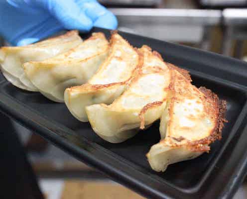 話題の「餃子フェス」再び 王道からイタリアン系まで注目フードがずらり