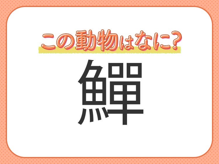 鱓 はなんて読む くねくねと泳ぐ海の動物 モデルプレス