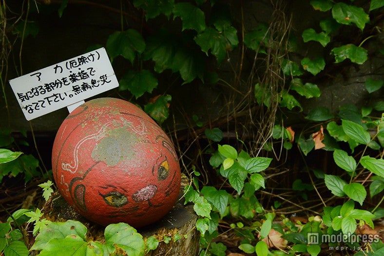 路地裏や軒先に潜む「福石猫」