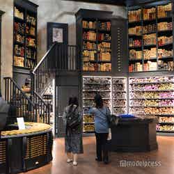 ワーナー ブラザース スタジオツアー東京 ‐ メイキング・オブ・ハリー・ポッター(C)モデルプレス