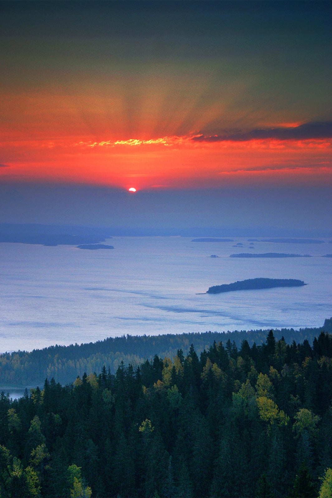 コリの日の出／画像提供：Visit Finland（フィンランド政府観光局）