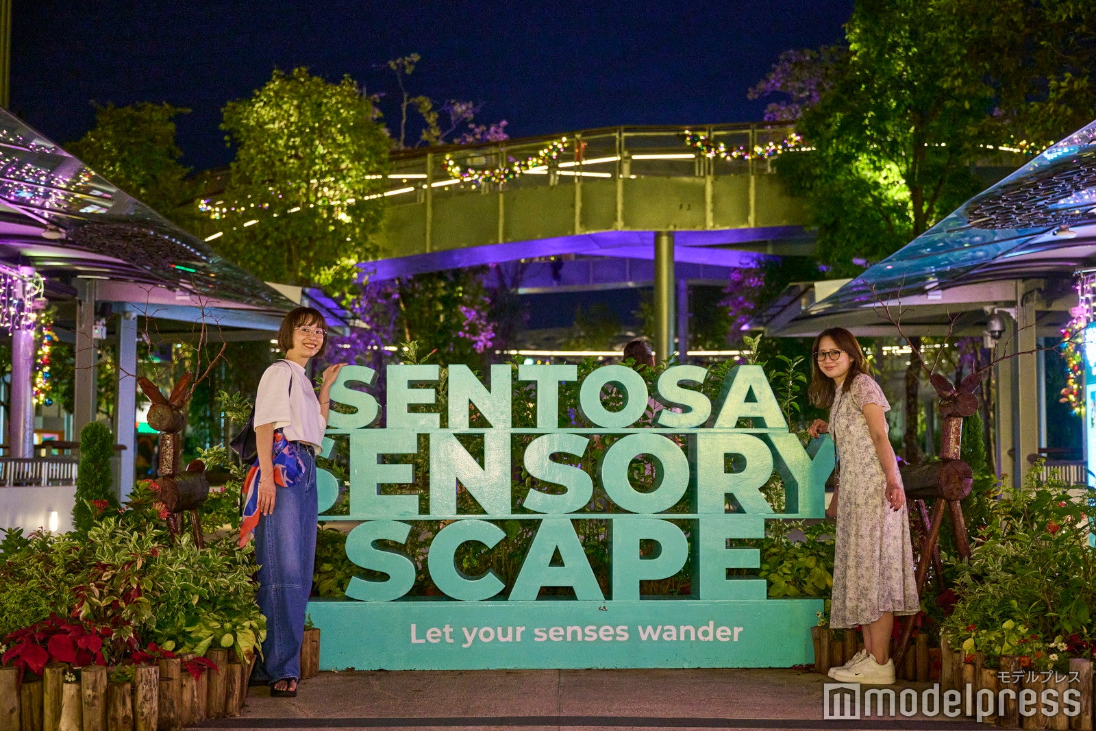 センソリースケープ（C）モデルプレス