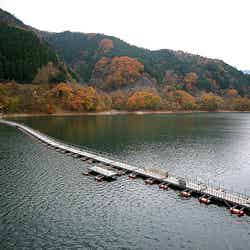 「奥多摩」/photo by Kabacchi