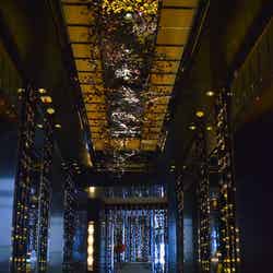 「ヴィダ リカ レストラン」エントランス