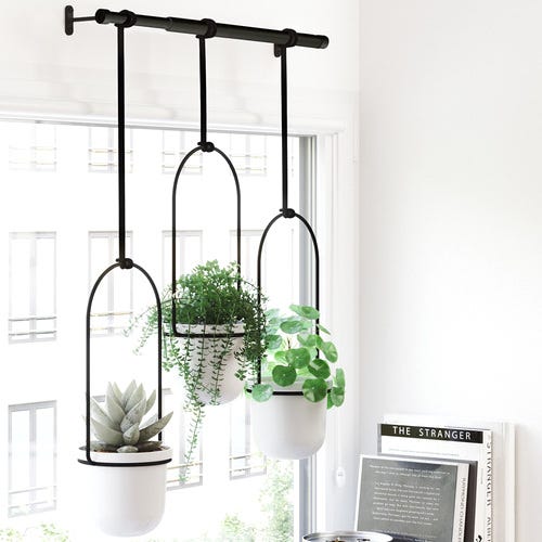 初心者さん向け 小さい庭をおしゃれにガーデニング 自分だけの癒し空間を作ろう モデルプレス 初心者さん向け 小さい庭をおしゃれにガーデニング 自分だけの癒し空間を作ろう モデルプレス