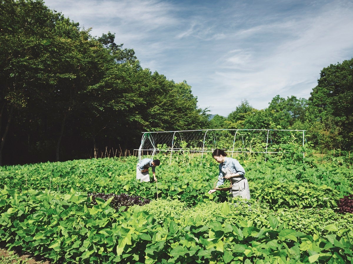 星野リゾート　リゾナーレ那須／画像提供：星野リゾート